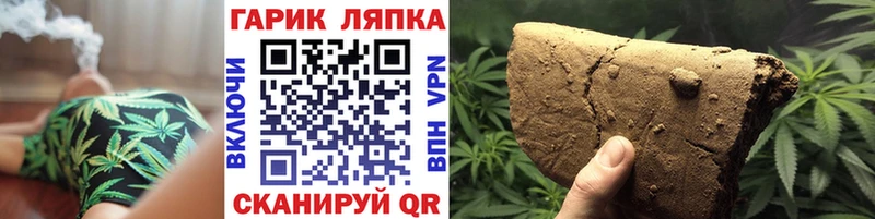 ГАШ Premium  Курлово 