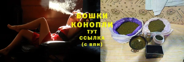 твердый Михайлов