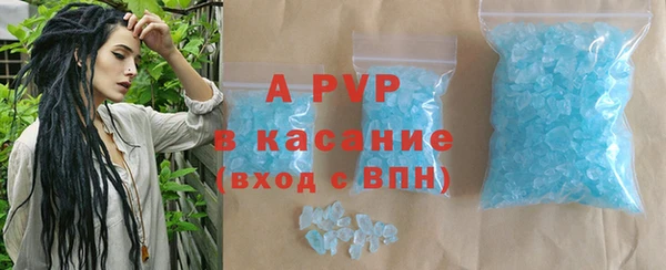 твердый Михайлов