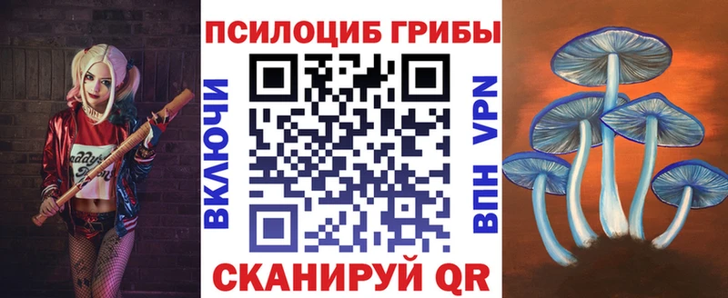 сайты даркнета как зайти  Курлово  Псилоцибиновые грибы прущие грибы 